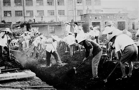 【媒體關注】從東北到廣西“開荒” 一家十幾個“冶建人”