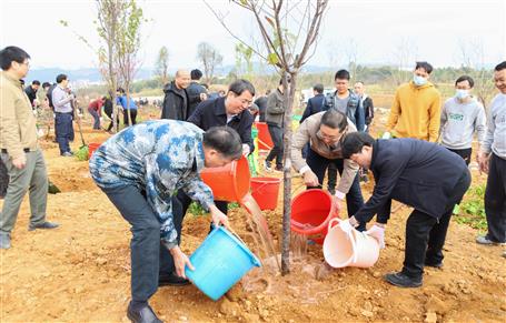 吳煒率隊到公司承建的項目舉行新春義務植樹活動