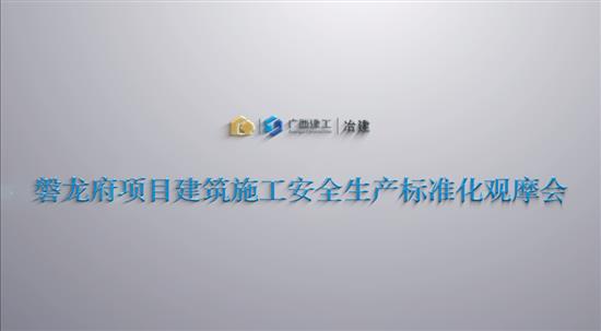 冶建公司磐龍府項目建筑施工安全生產標準化觀摩會